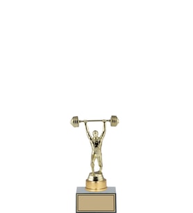ODAK KUPA - Hediyelik Ürünler - HDY-036 B - 20 cm