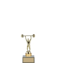 ODAK KUPA - Hediyelik Ürünler - HDY-036 B - 20 cm