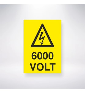 6000 Volt