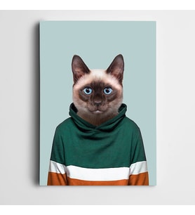 Sweatlı Kedi  Kanvas Tablo