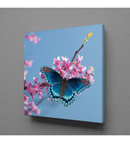MAVİ KELEBEK KANVAS TABLO 140x140cm