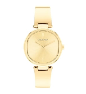 Calvin Klein CK25200309 Kadın Kol Saati