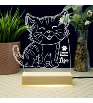 Kedi Tasarımlı 3d Led Lamba