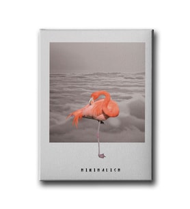 Flamingo Canvas Tablo MİND479