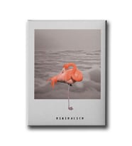 Flamingo Canvas Tablo MİND479