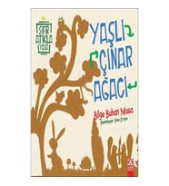 Yaşlı Çınar Ağacı