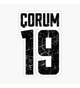 19 ÇORUM Sticker Yapıştırma Oto Etiket 17cm