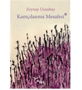 Kamçılanma Mesafesi