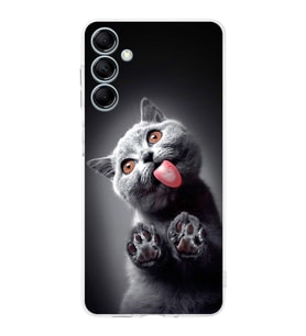 PrintiFy Samsung Galaxy M14 ile Uyumlu Kedi 2 Kamera Korumalı Şeffaf Kılıf