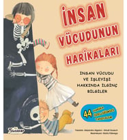 İnsan Vücudunun Harikaları