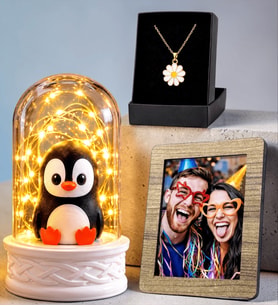 Kişiye Özel Ahşap Fotoğraf Çerçeveli Penguenli LED Işıklı Fanus ve Tasarım Kolye Hediye Seti
