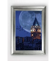GÜMÜŞ ÇERÇEVELİ TABLO A861