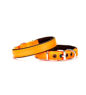 Doggie Softlu Köpek Boyun Tasması 2 cm x 40 cm Turuncu