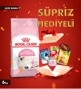 Royal Canin Kitten 36 Yavru Kedi Maması 6 Kg (ZİLLİ TASMA HEDİYEDİR) SKT:05/2027