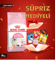 Royal Canin Kitten 36 Yavru Kedi Maması 6 Kg (ZİLLİ TASMA HEDİYEDİR) SKT:05/2027