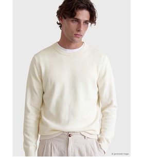 LCW Vision Ekru Regular Fit Erkek Triko Kazak