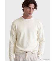 LCW Vision Ekru Regular Fit Erkek Triko Kazak
