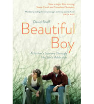 Beautiful Boy: A Father'S Journey Through His Son'S Addiction