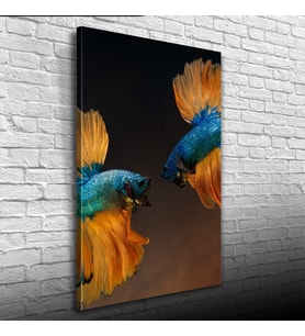 İki Mavi Balık Kanvas Tablo 50 x 70