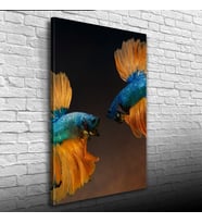 İki Mavi Balık Kanvas Tablo 50 x 70