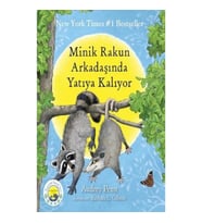 Minik Rakun Arkadaşında Yatıya Kalıyor
