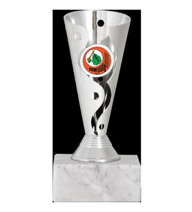 ODAK KUPA - Genel Kupalar - GN-064 B - 16 cm