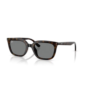 RB 4439D 710/87 54 Ray-Ban Güneş Gözlüğü
