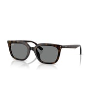 RB 4439D 710/87 54 Ray-Ban Güneş Gözlüğü