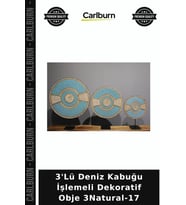 Özel Üretim Ev Dekorasyonu Salon Aksesuarı 3'Lü Deniz Kabuğu İşlemeli Dekoratif Obje 3Natural-17