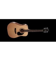 CORT AD810E-OPW