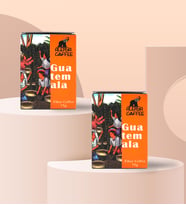 2'li Alerya Coffee Guatemala Filtre Kahve Hediye Seti