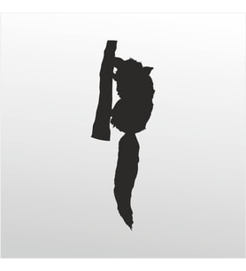 Folyo Sticker Rakun 30cm Uzunluk (Karışık)