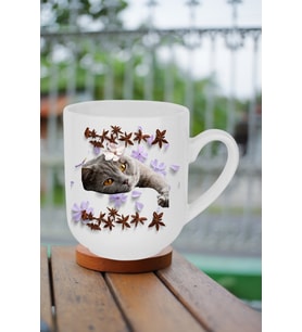 Sevimli Kedi Baskılı Lüx Kupa Bardak Porselen Çay Kahve Fincanı