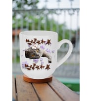 Sevimli Kedi Baskılı Lüx Kupa Bardak Porselen Çay Kahve Fincanı