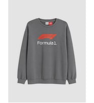 LCW Kids Gri Formula 1 Baskılı Erkek Çocuk Soft Touch Sweatshirt
