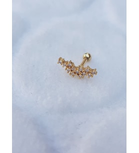 Tragus Küpe Piercing Çelik