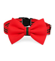 MS Pet Design Ayarlanabilir Kedi Köpek Papyonu