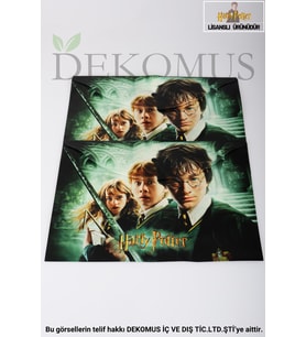 DEKOMUS İLE YENİ SEZON LİSANSLI HARRY POTTER 2'Lİ ÇITÇITLI DOSYA