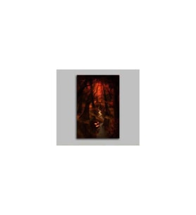 Cadılar Bayramı Gizemli Orman Tablo - 106820 - 50x70 Cm