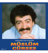 Müslüm Gürses Dağlarda Kar Olsaydım - Plak (Standart)