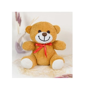 SEVİMLİ PELUŞ AYICIK