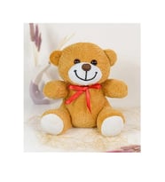 SEVİMLİ PELUŞ AYICIK