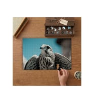 Kartal Kuş Yırtıcı Hayvan Tasarımı 240 parça Ahşap Puzzle Ahşap Kutuda MP04037