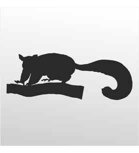 Folyo Sticker Kokarca 70cm Uzunluk (Karışık)