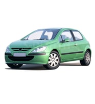Peugeot 307 Krom Kapı Kolu 2 Kapı 2001-2008