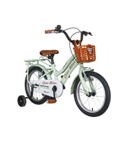 Cesa Bikes Bagajlı Demir Çamurluk 16 jant 4-7 Yaş Pastel YEŞİL Çocuk Bisikleti