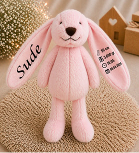 Kişiye özel İsimli Peluş tavşan Doğum Hatırası & Uyku arkadaşı (Pembe)