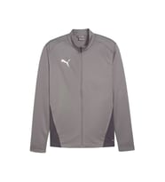 Puma Teamgoal Training Jacket Erkek Futbol Antrenman Ceketi 65863313 Gri