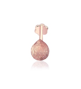 Coco Major Tragus