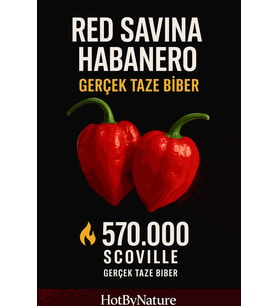 RED SAVİNA HABANERO PEPPER 350.000 – 570.000 Scoville - Gerçek Taze Acı Biber